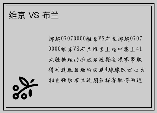 维京 VS 布兰