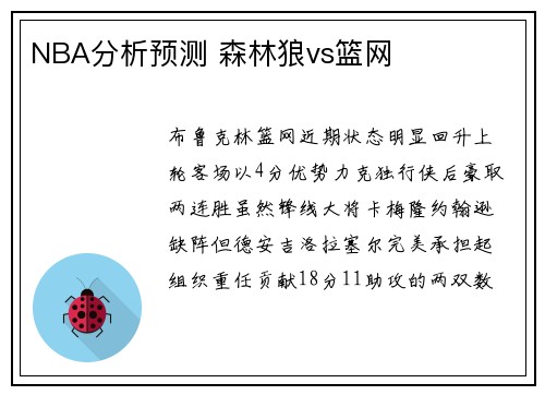 NBA分析预测 森林狼vs篮网