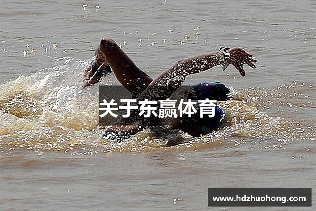 关于东赢体育